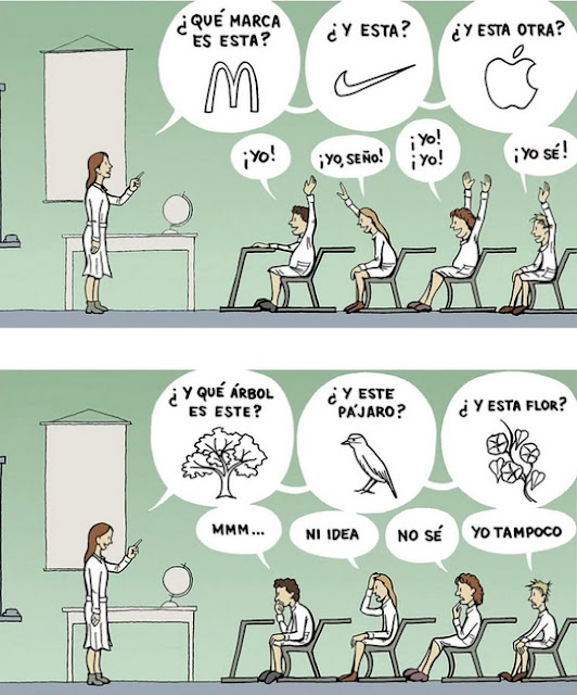 El fracaso de la educación actual